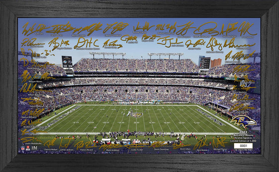 Baltimore Ravens 2023 NFL Signature Gridiron