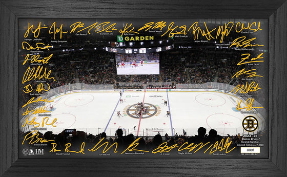 Boston Bruins 2023-24 Signature Rink