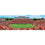 NC State Wolfpack - 1000 Piece Panoramic Jigsaw Puzzle - 757 Sports Collectibles