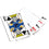 St. Louis Blues 300 Piece Poker Set - 757 Sports Collectibles