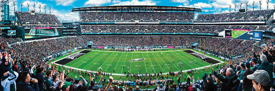 Stadium Panoramic - Philadelphia Eagles 1000 Piece NFL Sports Puzzle - Center View