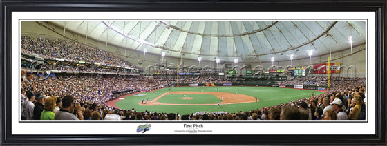 FL-102 Tampa Bay Rays First Pitch - 757 Sports Collectibles