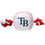 Tampa Bay Rays Baseball Toy - Nylon w/rope Pets First