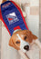 NY RANGERS PUFFER VEST Pets First - 757 Sports Collectibles
