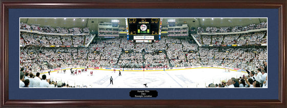 Pittsburgh Penguins 2009 Stanley Cup Champions Panorama Photo Print - 757 Sports Collectibles
