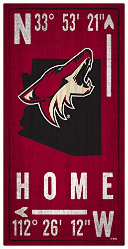 Fan Creations NHL Phoenix Coyotes Unisex Arizona Coyotes Coordinate Sign, Team Color, 6 x 12 - 757 Sports Collectibles