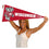 College Flags & Banners Co. Wisconsin Badgers Bucky Badger Logo Pennant - 757 Sports Collectibles