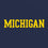 AS01 - Michigan Wolverines Basic Block T-Shirt - X-Large - Navy - 757 Sports Collectibles