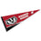College Flags & Banners Co. Wisconsin Badgers Full Size Bucky Head Pennant - 757 Sports Collectibles
