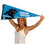 WinCraft Carolina Panthers Pennant Banner Flag - 757 Sports Collectibles