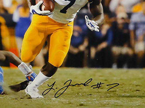 Leonard Fournette Signed LSU Tigers 16x20 Running Over Florida Photo-JSA W Auth - 757 Sports Collectibles