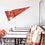 WinCraft Tampa Bay Buccaneers Throwback Vintage Retro Pennant Flag - 757 Sports Collectibles