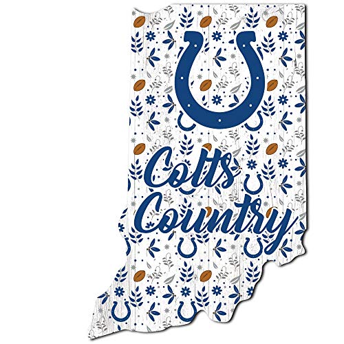 Fan Creations NFL Indianapolis Colts Unisex Indianapolis Colts Floral State Sign, Team Color, 12 inch - 757 Sports Collectibles
