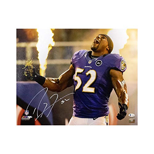 Ray Lewis Autographed Baltimore Ravens 16x20 Photo - BAS COA (Purple Jersey) - 757 Sports Collectibles