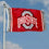 College Flags & Banners Co. Ohio State Buckeyes Field Stripes Flag - 757 Sports Collectibles