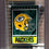 WinCraft Green Bay Packers Decorative Yard Garden Flag - 757 Sports Collectibles