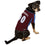 Colorado Avalanche Jersey Pets First - 757 Sports Collectibles