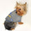 Golden State Warriors Dog Tee Pets First - 757 Sports Collectibles