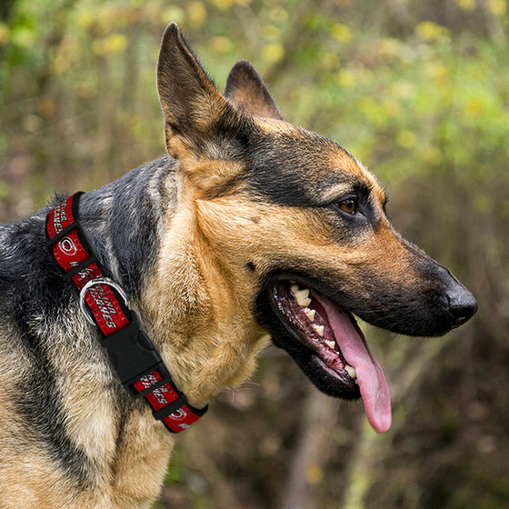 Carolina Hurricanes Dog Collar Pets First - 757 Sports Collectibles