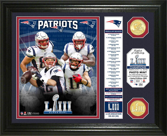 New England Patriots Super Bowl 53 Champions Banner Bronze Coin Photo Mint