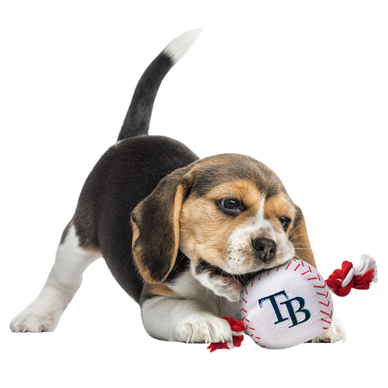 Tampa Bay Rays Baseball Toy - Nylon w/rope Pets First - 757 Sports Collectibles