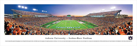 Auburn University Football - End Zone - Unframed - 757 Sports Collectibles