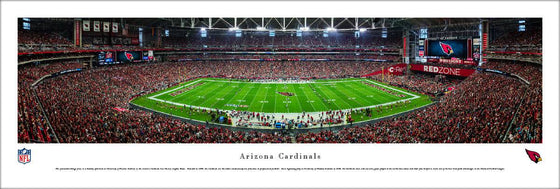 Arizona Cardinals - 50 Yard Line - Unframed - 757 Sports Collectibles