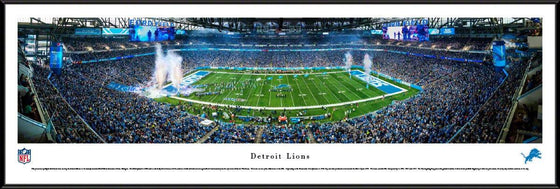 Detroit Lions - 50 Yard Line - Standard Frame - 757 Sports Collectibles