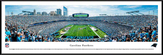 Carolina Panthers - End Zone - Standard Frame - 757 Sports Collectibles