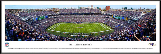 Baltimore Ravens - 50 Yard Line - Standard Frame - 757 Sports Collectibles
