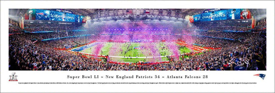 Super Bowl 2017 Champions - New England Patriots  - Unframed - 757 Sports Collectibles