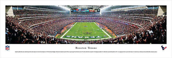 Houston Texans - End Zone - Unframed - 757 Sports Collectibles