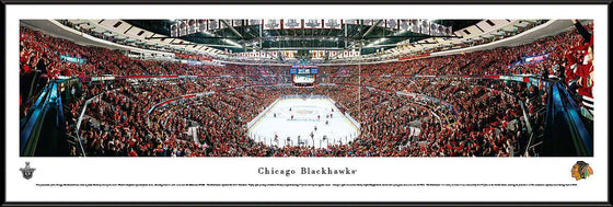 Chicago Blackhawks - End Zone - Standard Frame - 757 Sports Collectibles