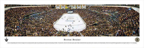 Boston Bruins - Playoffs - Unframed - 757 Sports Collectibles
