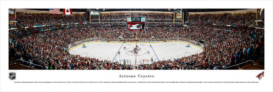 Arizona Coyotes - Center Ice - Unframed - 757 Sports Collectibles