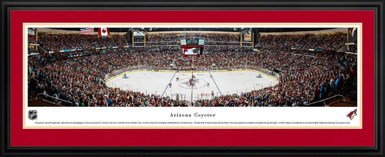 Arizona Coyotes - Center Ice - Deluxe Frame - 757 Sports Collectibles