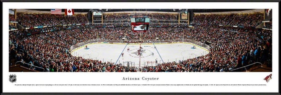 Arizona Coyotes - Center Ice - Standard Frame - 757 Sports Collectibles