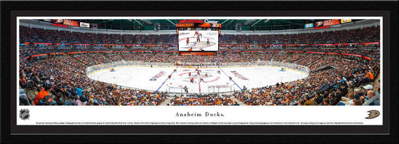 Anaheim Ducks - Center Ice - Select Frame - 757 Sports Collectibles
