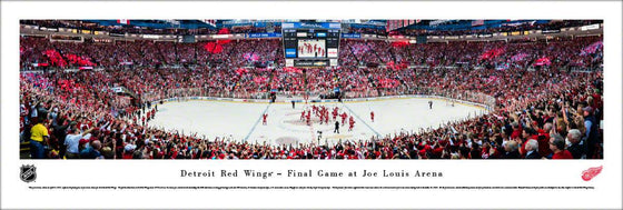 Detroit Red Wings - Final Game at Joe Louis Arena - Unframed - 757 Sports Collectibles