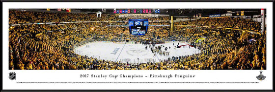 2017 Stanley Cup Champions - Pittsburgh Penguins - Standard Frame - 757 Sports Collectibles