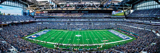 Stadium Panoramic - Indianapolis Colts 1000 Piece NFL Sports Puzzle - Center View