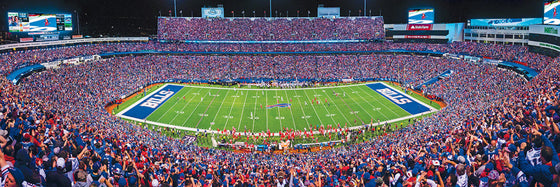 Stadium Panoramic - Buffalo Bills 1000 Piece NFL Sports Puzzle - Center View