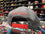 Washington Wizards REFLECTIVE INSIDER Snapback Mitchell & Ness Gray NBA Hat