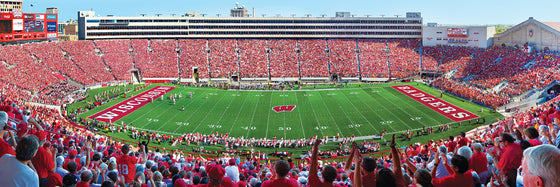 Stadium Panoramic - Wisconsin Badgers 1000 Piece NCAA Sports Puzzle - Center View