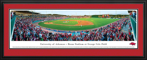 Arkansas Baseball - Deluxe Frame - 757 Sports Collectibles