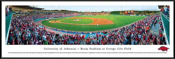 Arkansas Baseball - Standard Frame - 757 Sports Collectibles