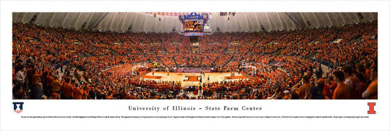 Illinois Basketball - Unframed - 757 Sports Collectibles