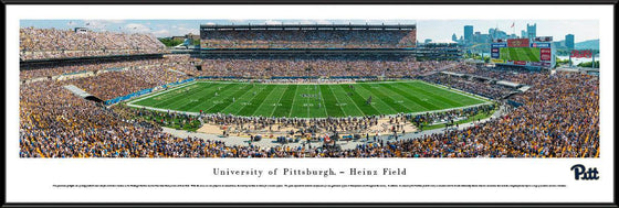 Pittsburgh Panthers Football - 50 Yard Line - Standard Frame - 757 Sports Collectibles