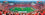 Stadium Panoramic - San Francisco 49ers 1000 Piece NFL Sports Puzzle - Center View