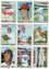 1970 TOPPS BASEBALL COMPLETE SET BREAK – 10 CARDS PER BOX! INCLUDES A HOFER AND HIGH NUMBER! - Sports Gifts, Sports Memorabilia, Sports Collectibles, Fan Shop